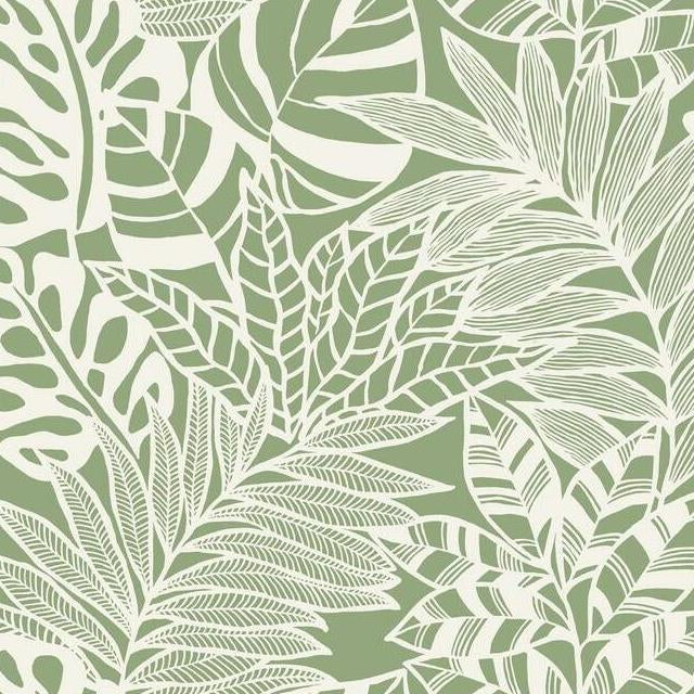 Looking SS2577 Silhouettes Jungle Leaves Green York Wallpaper