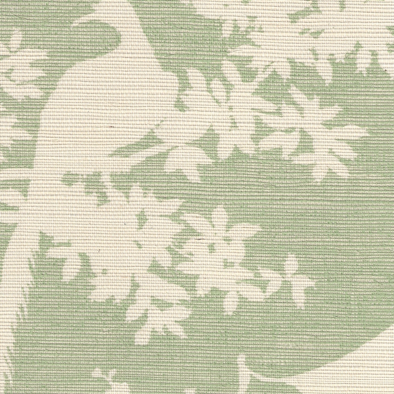 Buy 301980R-CELA Paradise Background Celadon On Beige by Quadrille Wallpaper