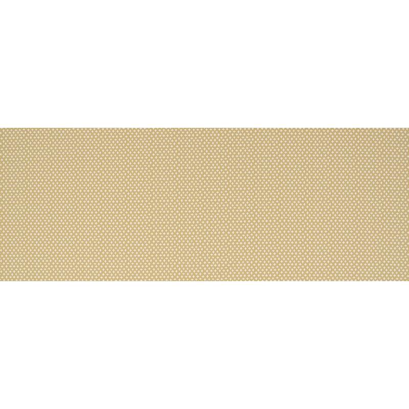 524364 | Idyllic Charm | Maize - Robert Allen Home Fabric