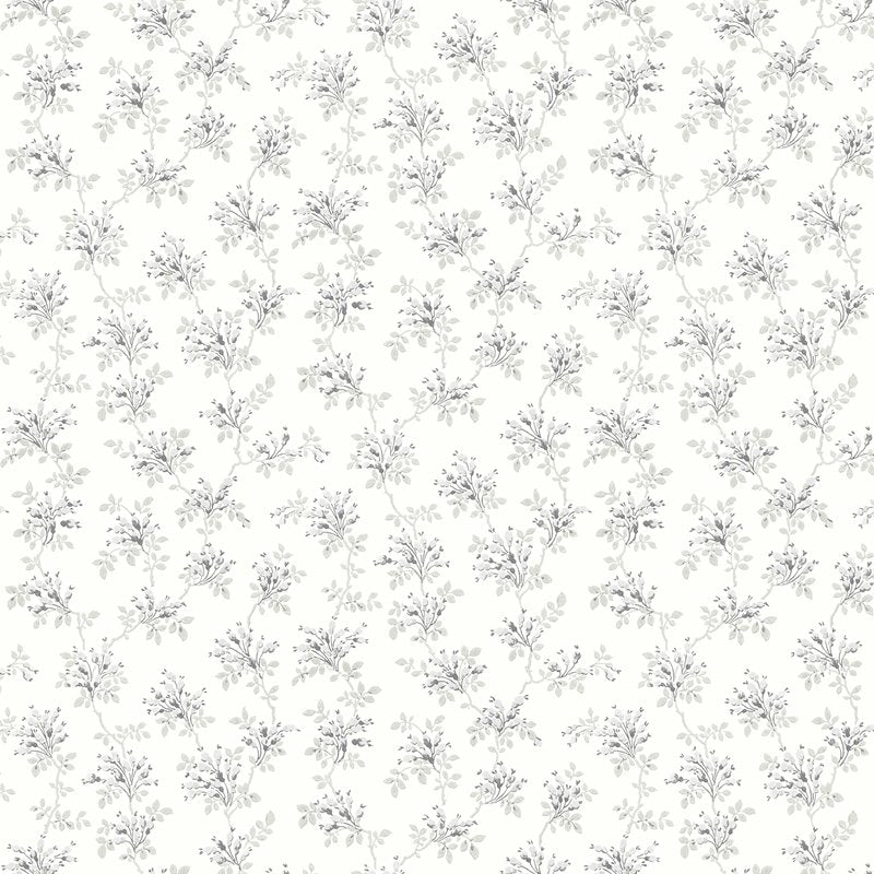 Search 4072-70040 Delphine Sofiane Grey Botanical Trail Wallpaper Grey by Chesapeake Wallpaper