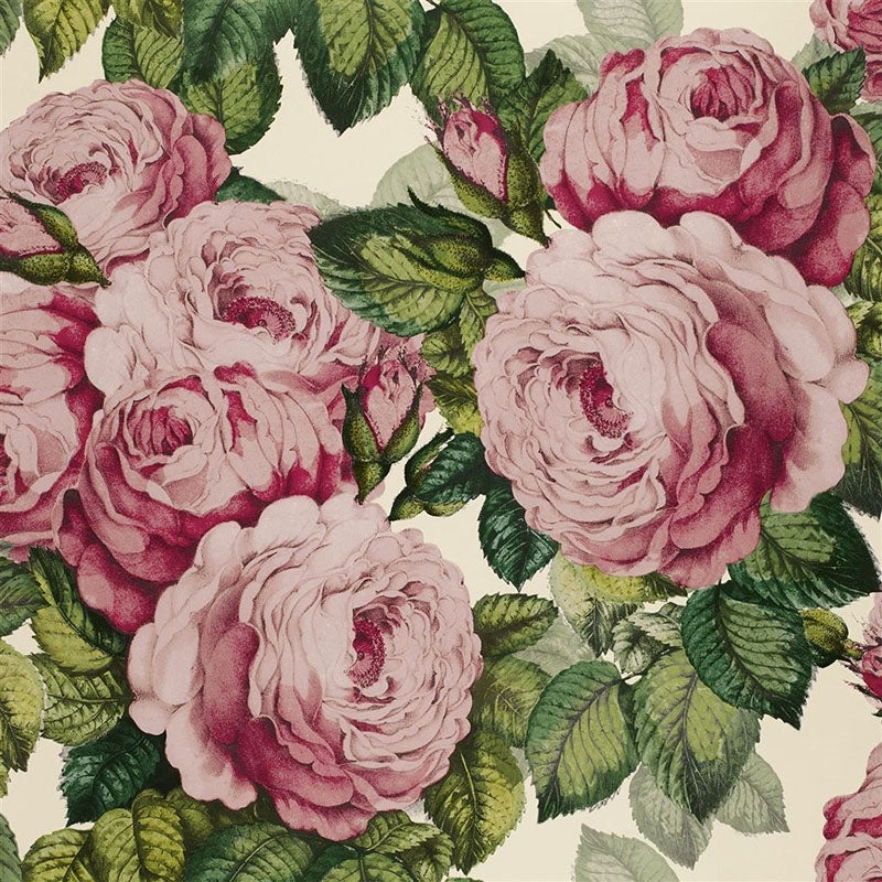 Buy PJD6002/02 The Rose Tuberose by Designer Guild Wallpaper