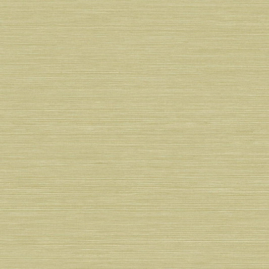Acquire BV30454 Texture Gallery Coastal Hemp Aloe  by Seabrook Wallpaper