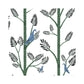 Sample PSW1237RL Aviary Branch Peel and Stick, Risky Business Vol. III by York Wallpaper