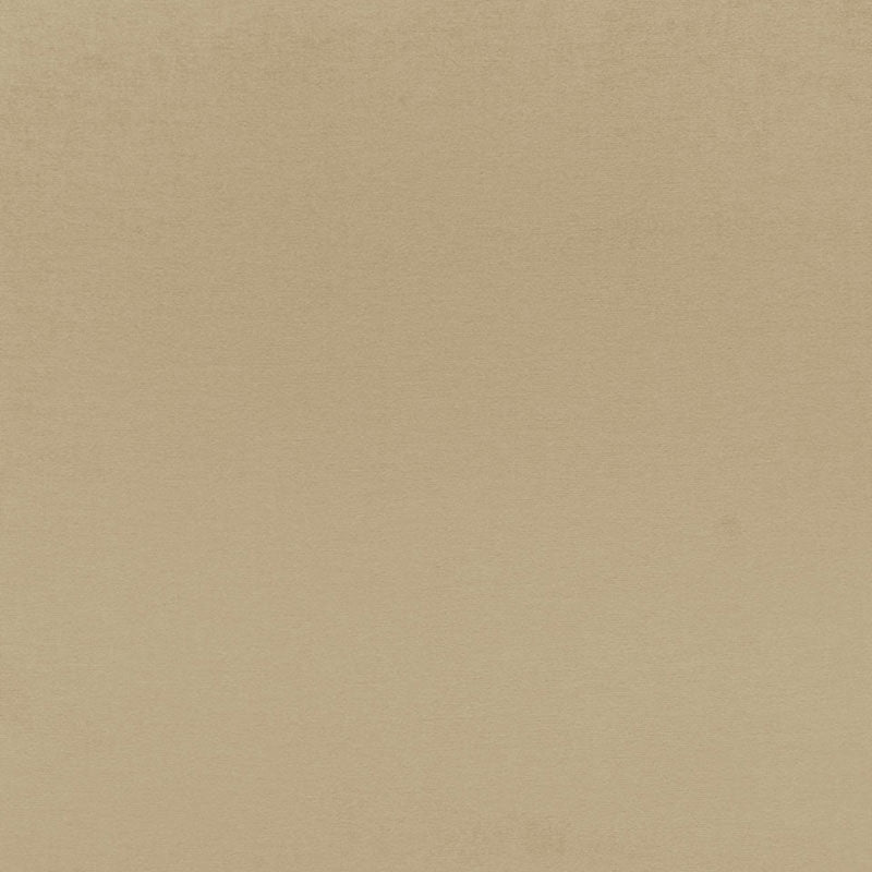 Purchase sample of 68135 Sophia Velvet, Driftwood by Schumacher Fabric