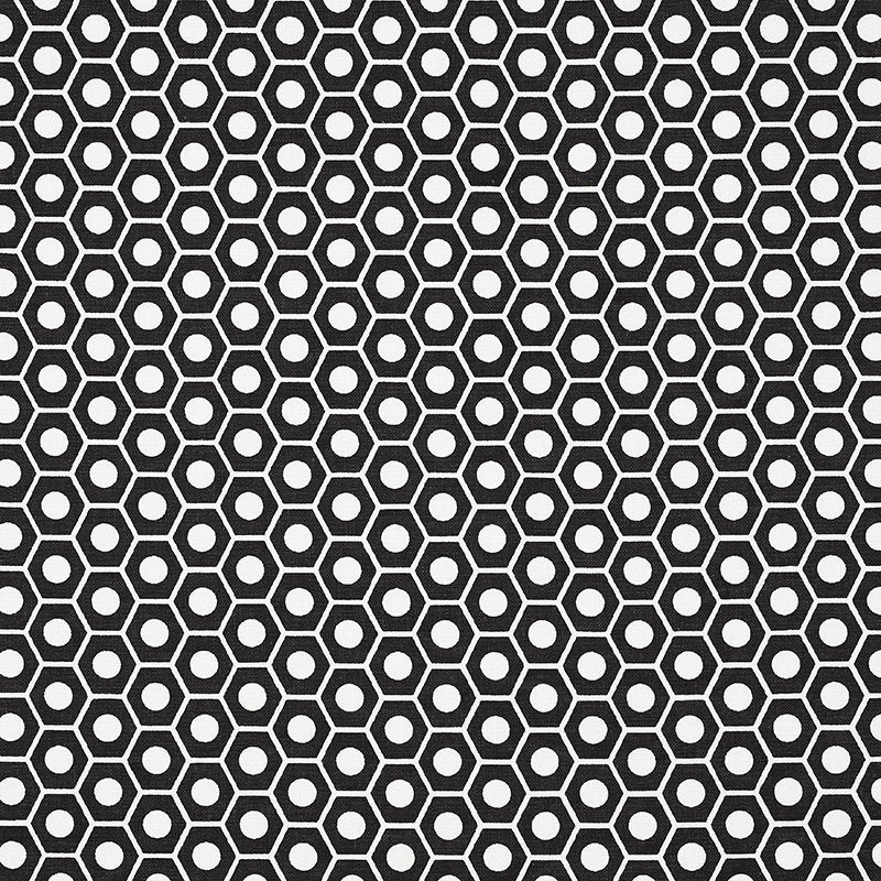 Find 177078 Queen B Black by Schumacher Fabric