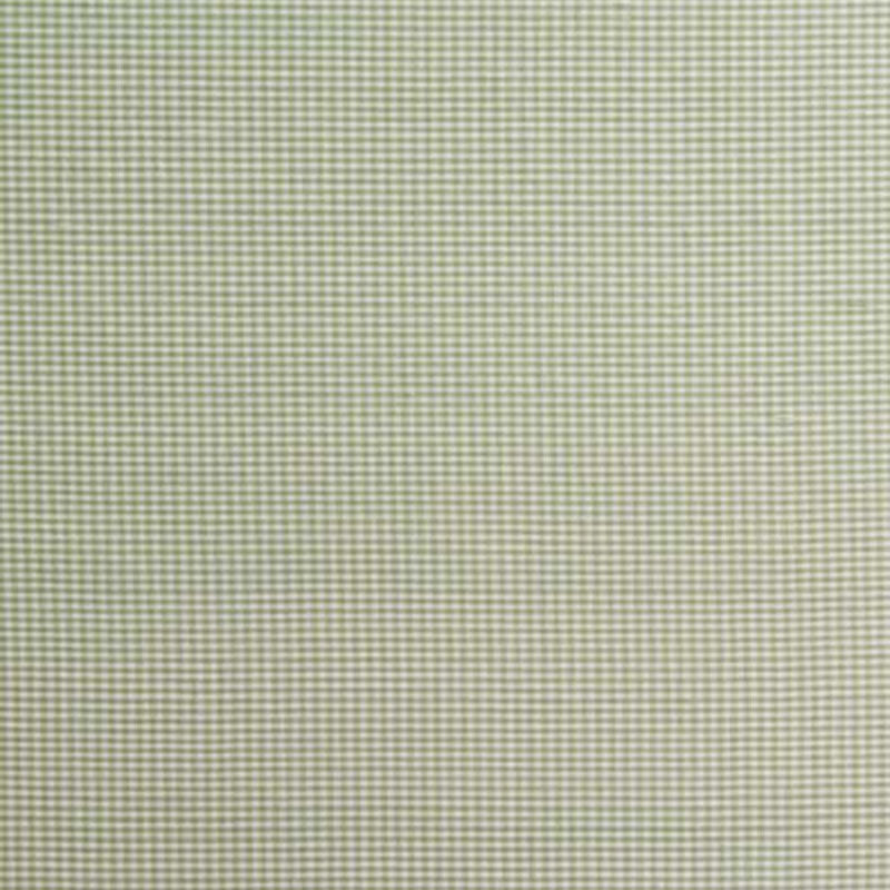 Purchase sample of 3449000 Dalton Silk Gingham, Leaf by Schumacher Fabric