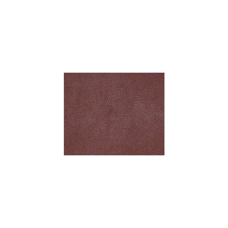 Sample PQ6004 Persuasion Beet by Maxwell