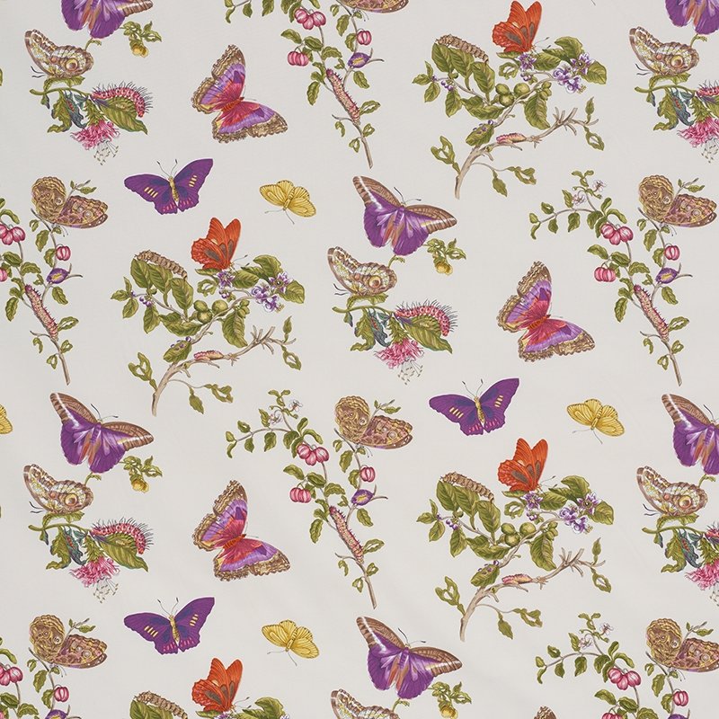 Purchase sample of 178722 Baudin Butterfly Chintz, Purple by Schumacher Fabric