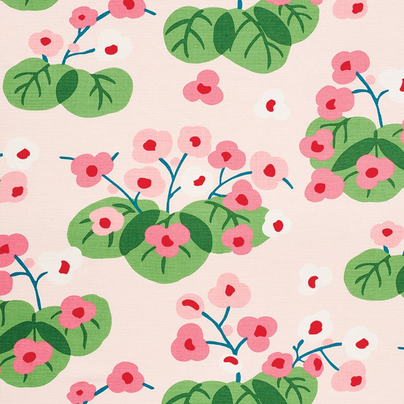 Purchase sample of 177480 Saku, Pink by Schumacher Fabric