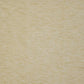 Sample AP5535 Asolo Winter Wheat by Maxwell