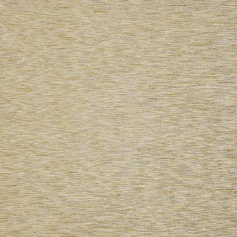 Sample AP5535 Asolo Winter Wheat by Maxwell