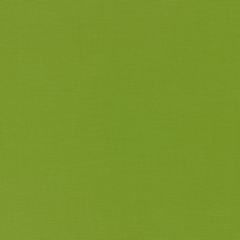 Order 70992 Alassio Lime by Schumacher Fabric