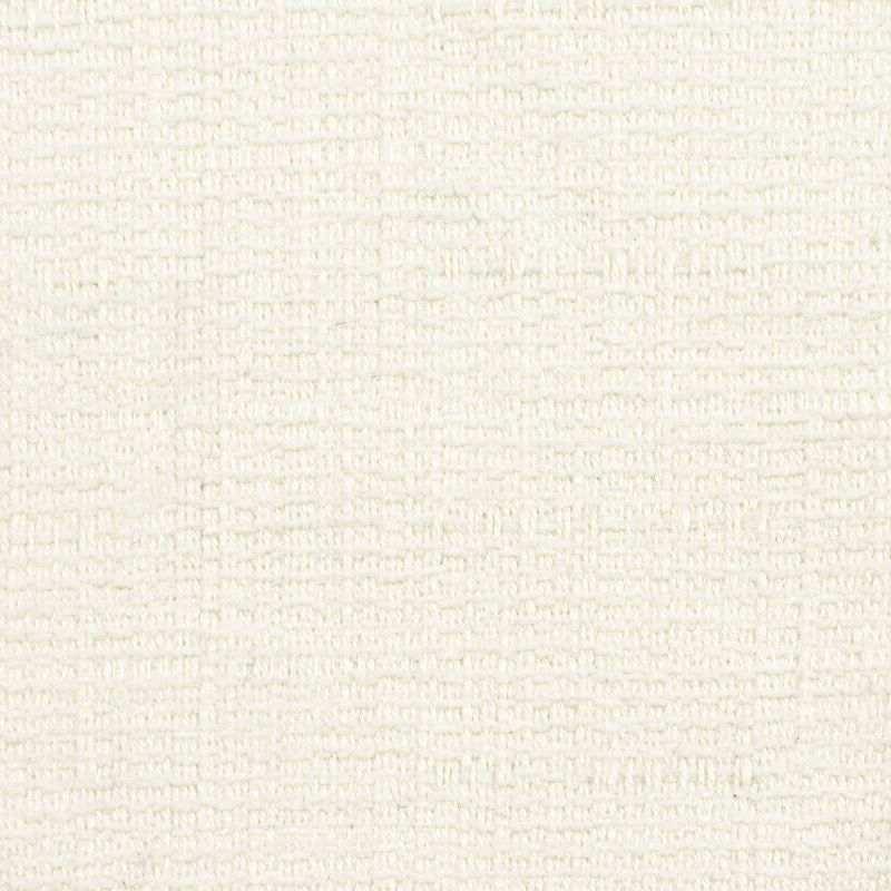 Save NAPE-1 Naperville Oyster Stout Fabric