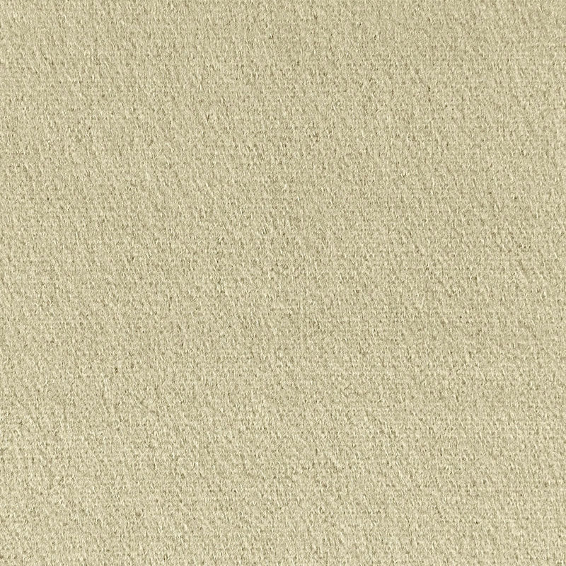 Purchase sample of 64932 Palermo Mohair Velvet, Eau De Nil by Schumacher Fabric