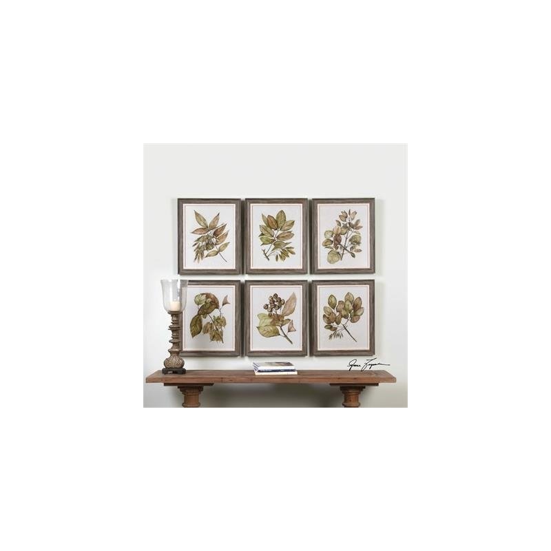 33651 Green Floral Botanical Study S/6 by Uttermost,,