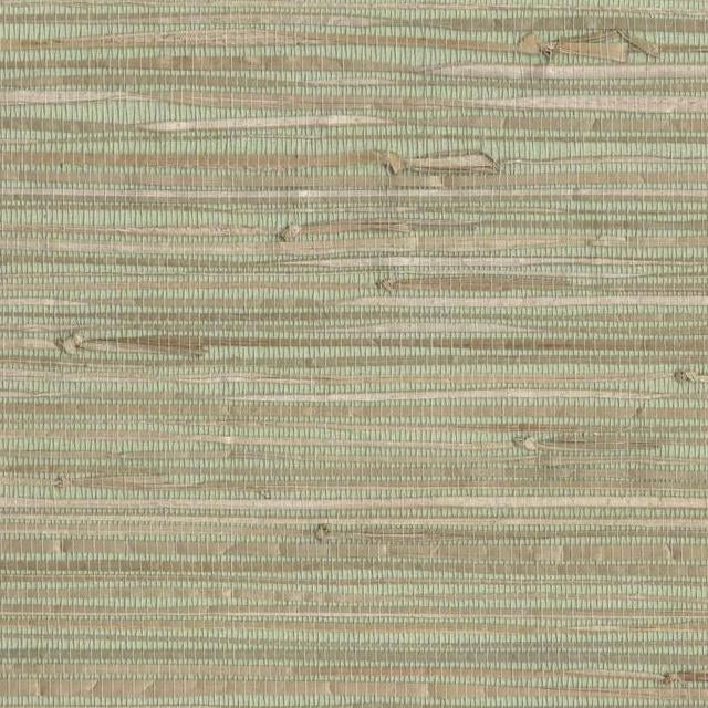 Buy NZ0780 Grasscloth York SEA GRASS color Greens Grasscloth by York Wallpaper