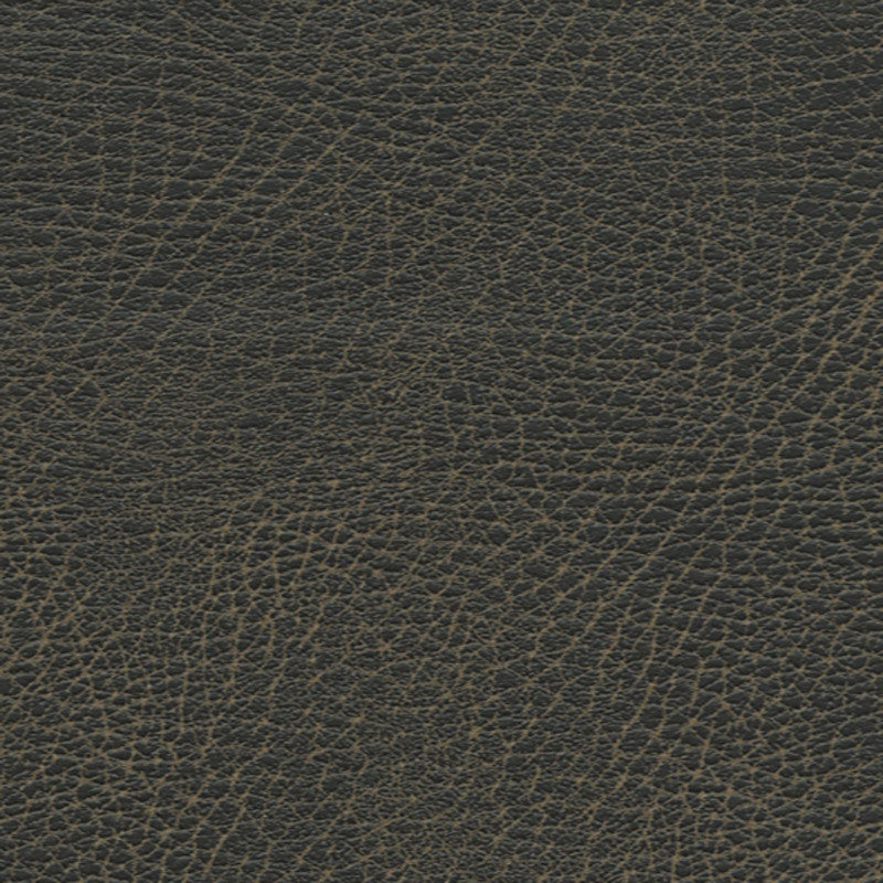 Purchase sample of 335-3974 Brisa Distressed, Steerhide by Schumacher Fabric