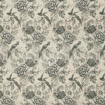 Search F1429/02 Avium Charcoal Botanical by Clarke And Clarke Fabric