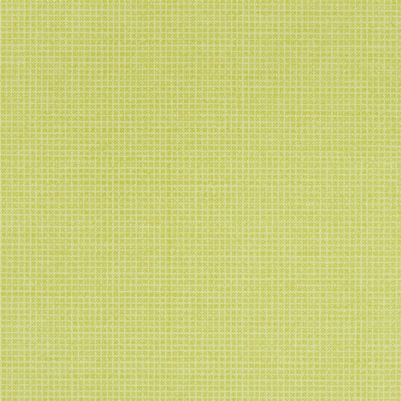 Search P528/13 Tolmer Acacia by Designer Guild Wallpaper