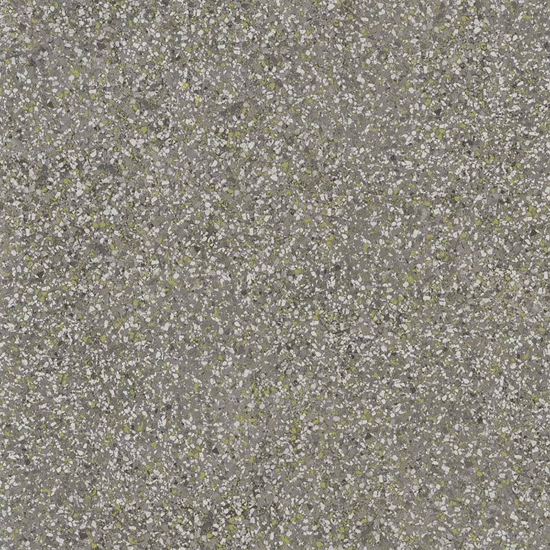 Sample PDG1031-02 Pavonazzo Birch by Designer Guild Wallpaper