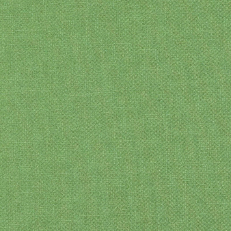 Purchase sample of 69665 Langham, Grass by Schumacher Fabric