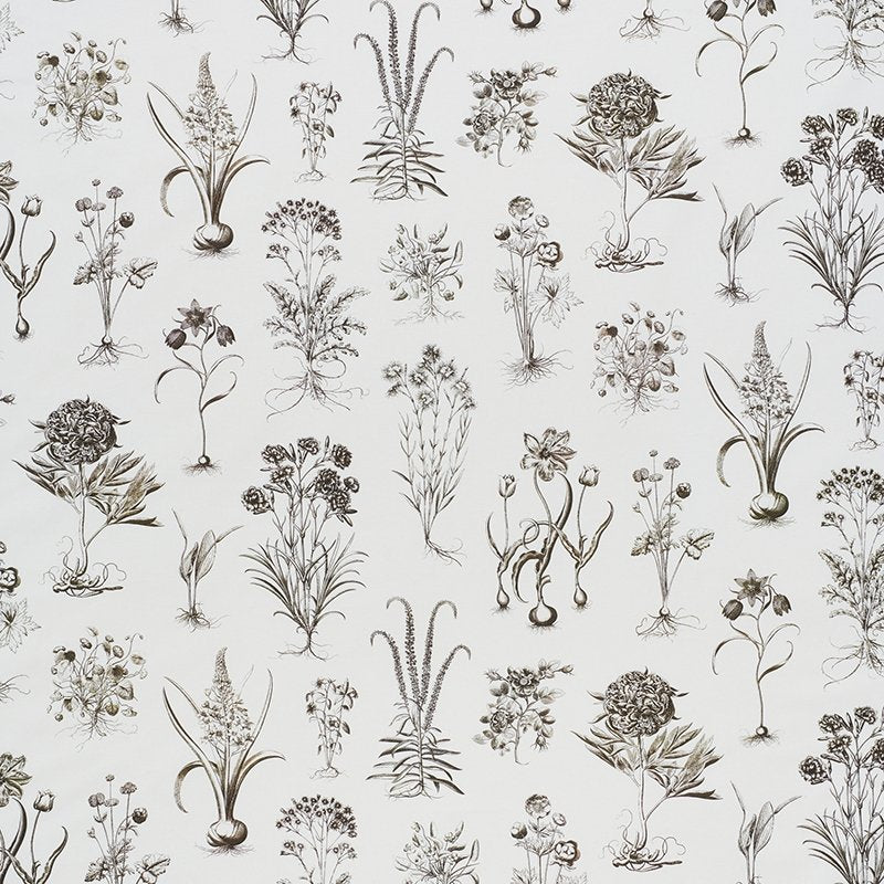 Purchase sample of 178751 Cabot Botanical, Ivory by Schumacher Fabric