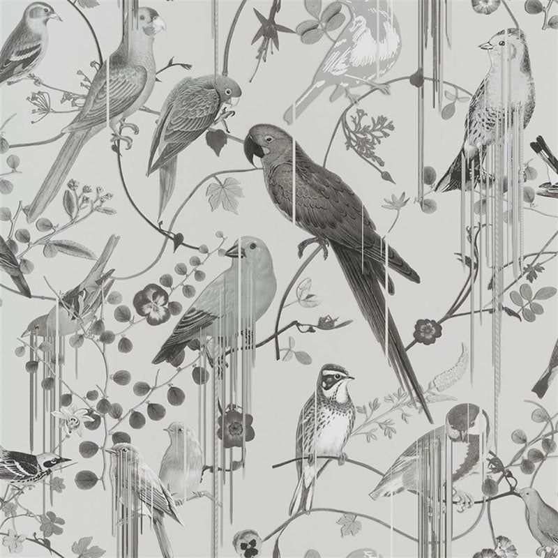 View PCL7017/08 Birds Sinfonia Graphite by Designer Guild Wallpaper