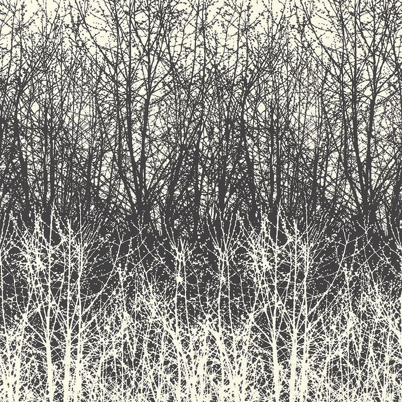 Shop 2707243 Birches Black White by Schumacher Wallpaper