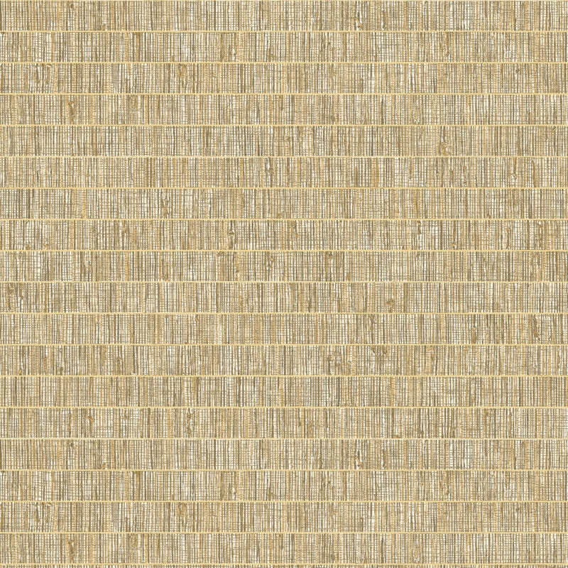 Search TC70006 More Textures Blue Grass Band Ginseng by Seabrook Wallpaper