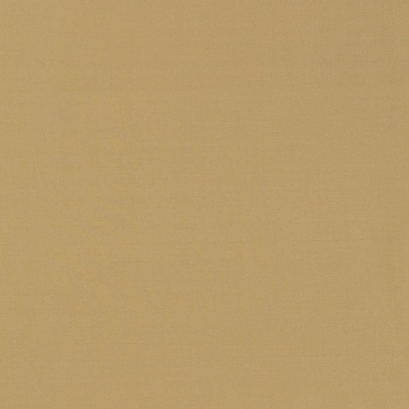 Purchase sample of 63908 Masaccio Taffeta, Chamois by Schumacher Fabric