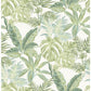 Search NU3382 Madagascar Botanical Peel and Stick by Wallpaper