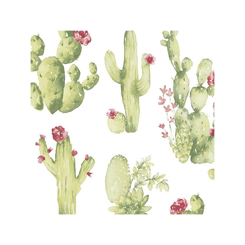 Sample CK36630 Creative Kitchens Cactus  Norwall Wallpaper