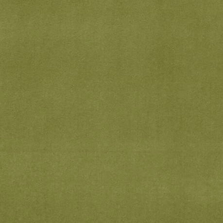 Find F0753-77 Alvar Leaf Solid by Clarke And Clarke Fabric