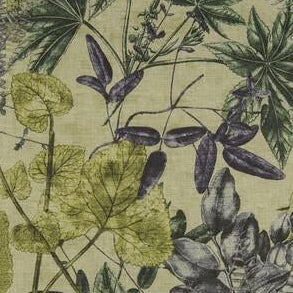 Search F1301/02 Madagascar Botanical by Clarke And Clarke Fabric