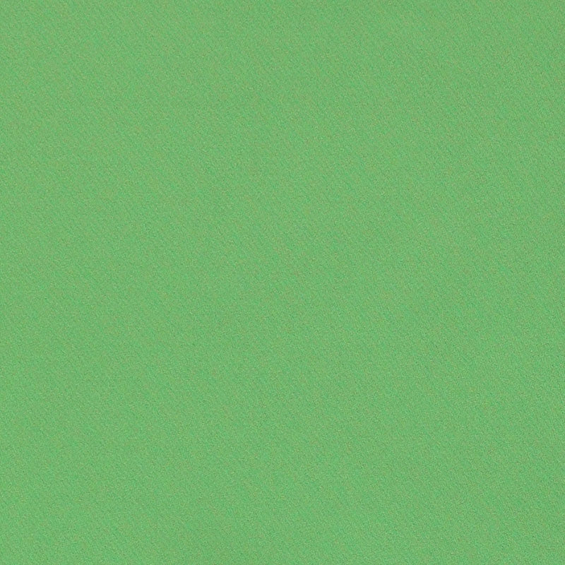 Purchase sample of 69594 Blake, Kiwi by Schumacher Fabric