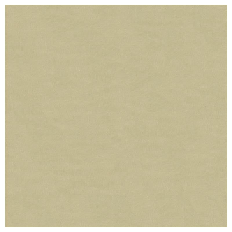 Buy 4070.11.0  Solids/Plain Cloth Light Grey by Kravet Design Fabric