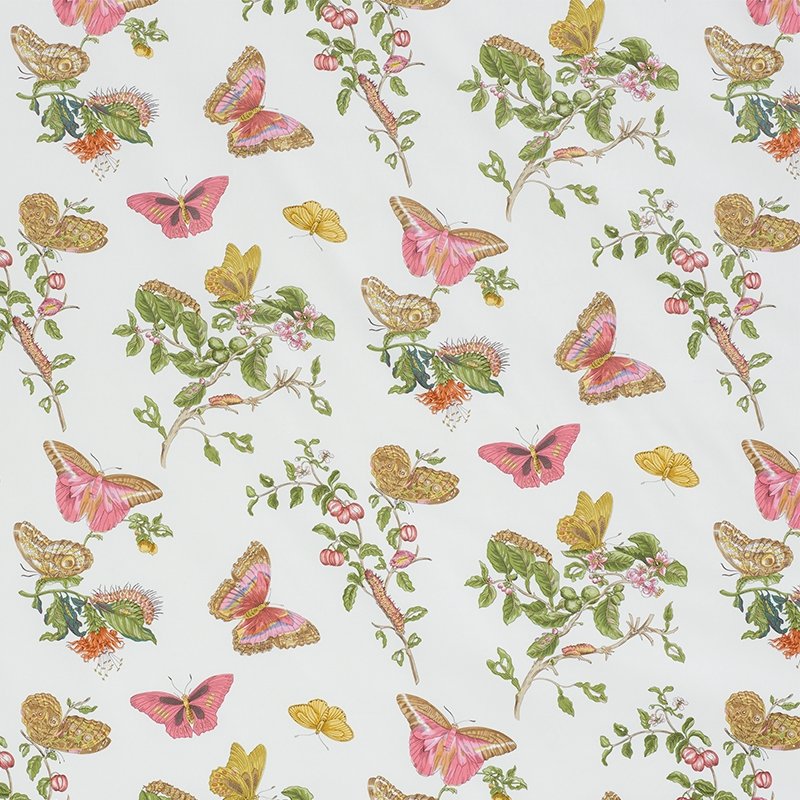 Purchase sample of 178720 Baudin Butterfly Chintz, Blush by Schumacher Fabric
