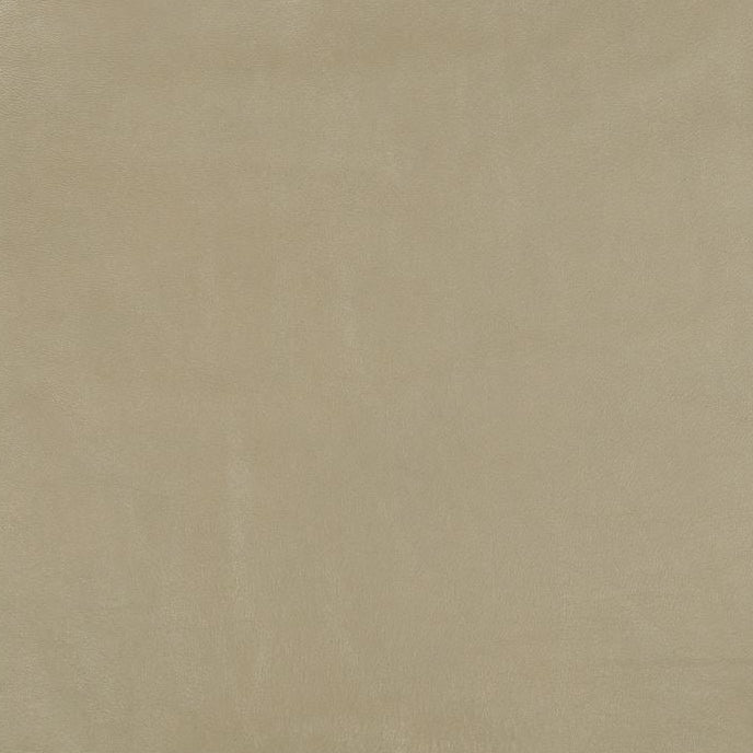 Purchase L-CLANCY.TAUPE.0 Clancy Taupe Solids/Plain Cloth Taupe Kravet Couture Fabric
