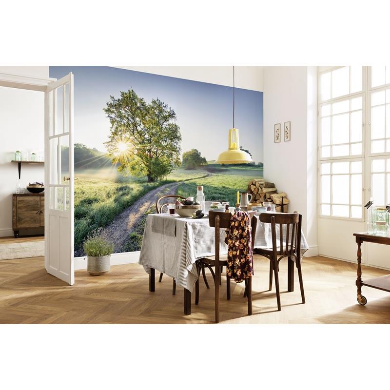8-134 Colours  Meadow Trail Wall Mural by Brewster,8-134 Colours  Meadow Trail Wall Mural by Brewster2