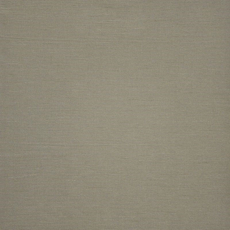 AP4576 | Apollonia Ivy by Maxwell Fabric