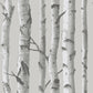Sample NU1694 Mountain Birch Grey , Faux Wood Peel and Stick Wallpaper