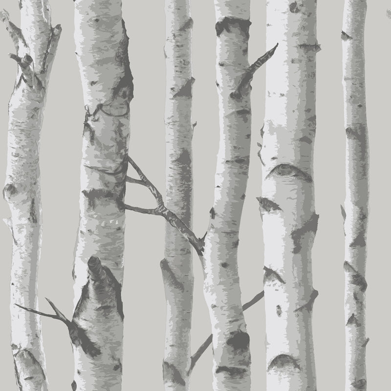 Sample NU1694 Mountain Birch Grey , Faux Wood Peel and Stick Wallpaper