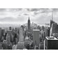 8-323 Colours  NYC Black and White Wall Mural by Brewster,8-323 Colours  NYC Black and White Wall Mural by Brewster2