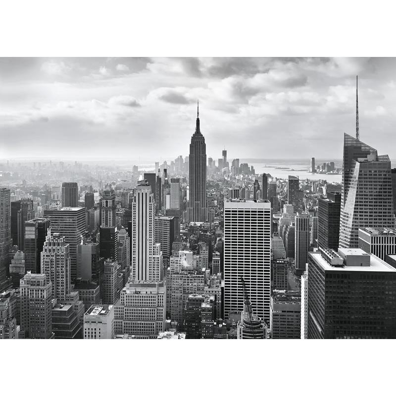 8-323 Colours  NYC Black and White Wall Mural by Brewster,8-323 Colours  NYC Black and White Wall Mural by Brewster2