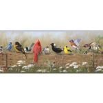 hide