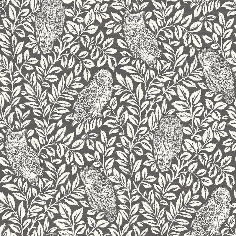 Sample 3115-12415 Farmhouse, Parliament Brown Owl by Chesapeake Wallpaper