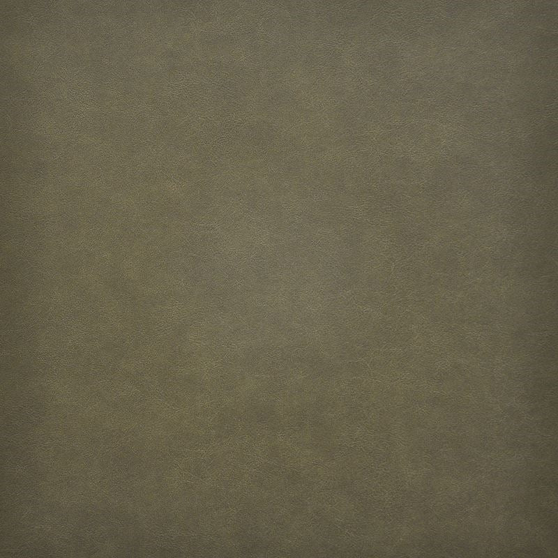 TQ5215 | Taro Thyme by Maxwell Fabric