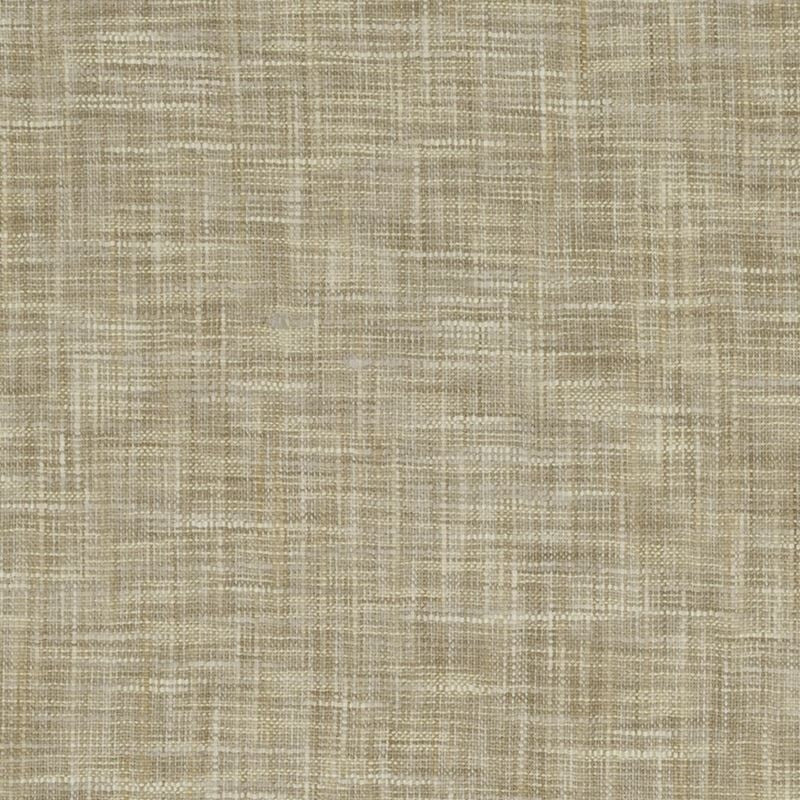 247790 | Befitting Beige - Robert Allen