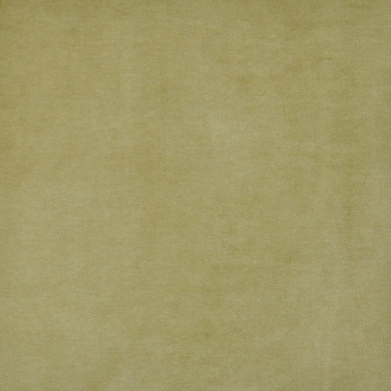 Sample SIE421 Snug Olive by Maxwell