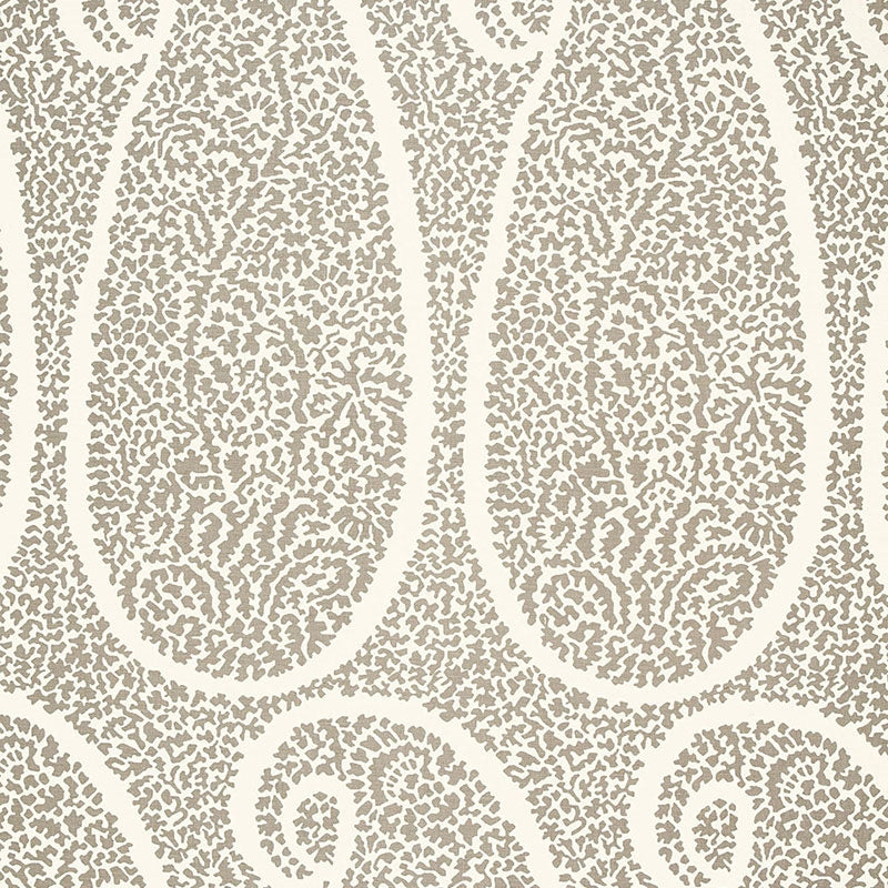 Looking 174643 Ambala Paisley Oyster by Schumacher Fabric
